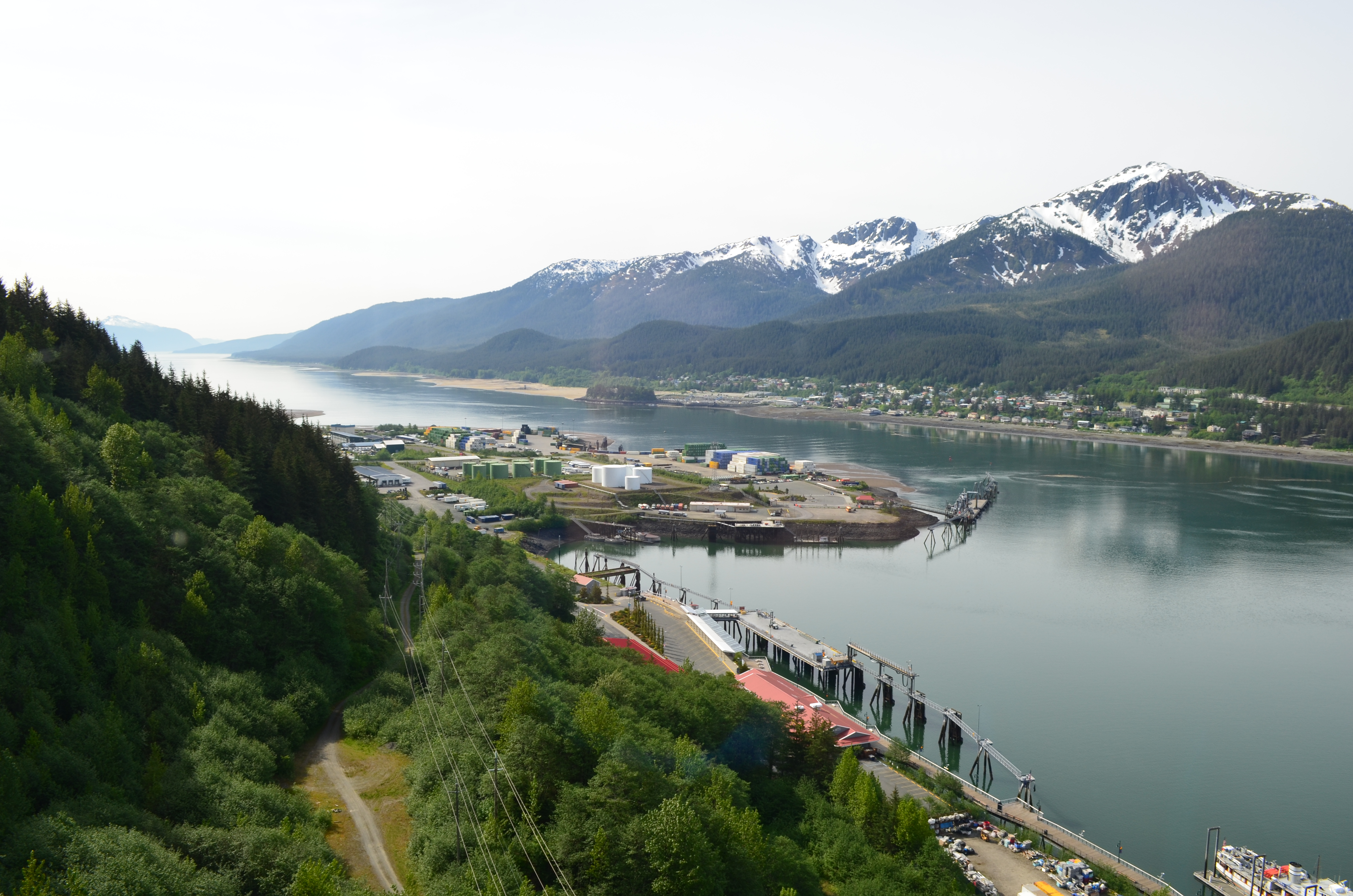 ./2017/08 - Alaska Cruise/08 - Juneau/DSC_0864.JPG